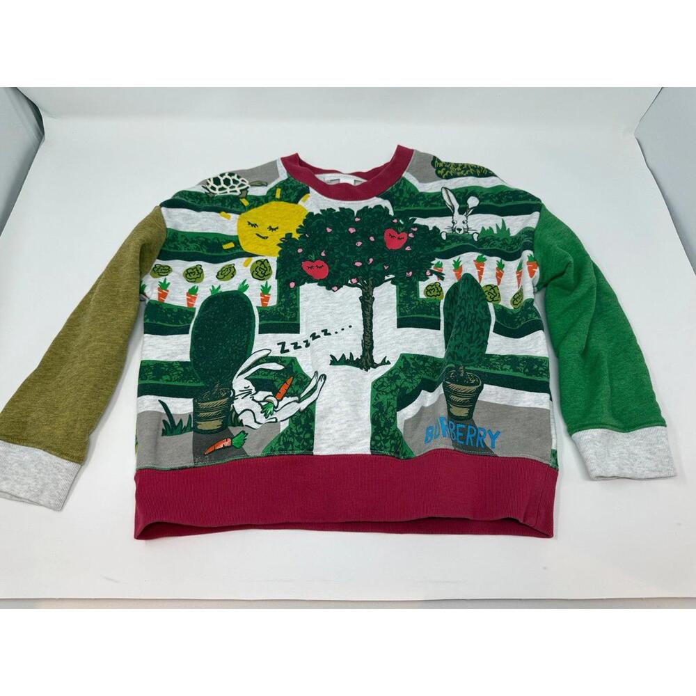 Burberry bunny sweatshirt girls 6
